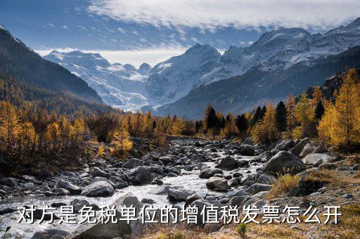 免稅企業(yè)如何開票，免征增值稅稅的發(fā)票怎么開