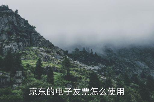 電子發(fā)票如何用，電子客票如何用