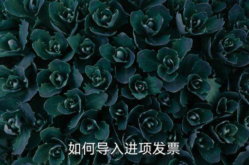 如何導入發(fā)票，如何導入進項發(fā)票