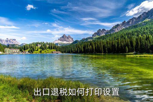 如何打印出口退稅備案表，出口退稅系統(tǒng)內(nèi)的增值稅申報表如何打印