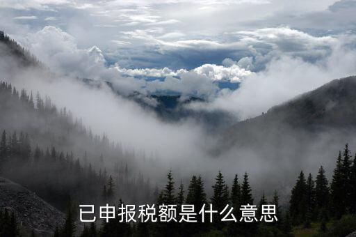 武漢稅務(wù)年報(bào)是什么意思，報(bào)告年度所得稅什么意思