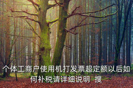 個體工商戶使用機(jī)打發(fā)票超定額以后如何補稅請詳細(xì)說明  搜