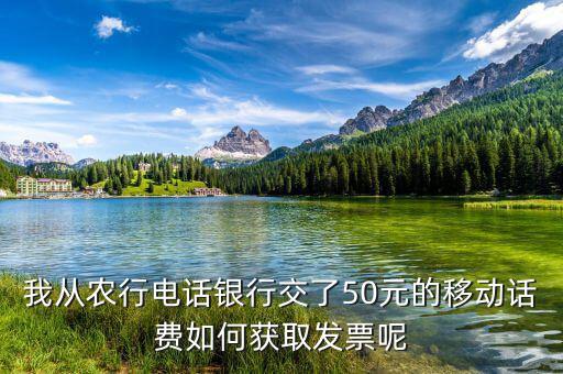 湖北移動電子發(fā)票如何獲取，中國移動手機帳單電子發(fā)票怎么樣下載