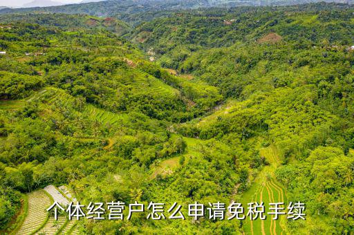 如何申請個體工商戶免稅，個體經(jīng)營戶怎么申請免稅手續(xù)