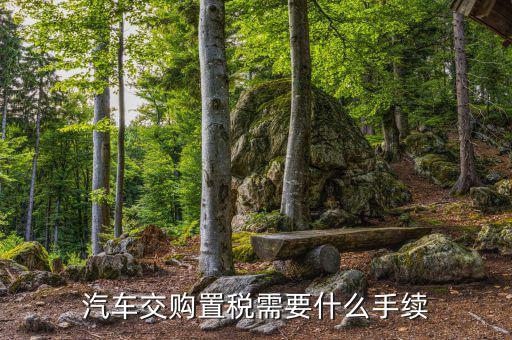車輛購(gòu)置稅如何辦理，購(gòu)買車輛購(gòu)置稅需要哪些手續(xù)