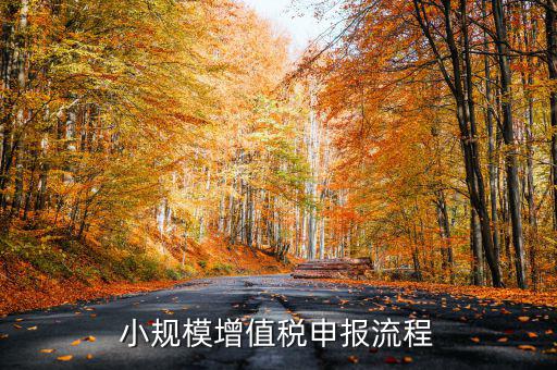 小規(guī)模納稅人 如何申報(bào)，小規(guī)模增值稅申報(bào)流程