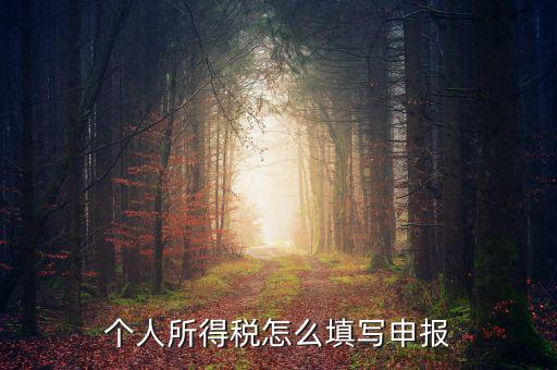 單位如何申報個人所得稅，個人所得稅 工資薪金所得 怎么申報
