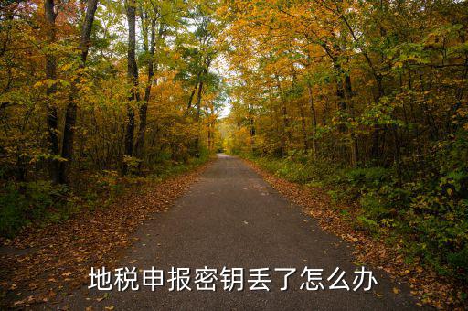武漢地稅密鑰如何補(bǔ)辦，地稅報(bào)稅key掉了補(bǔ)辦需要什么手續(xù)要多少錢