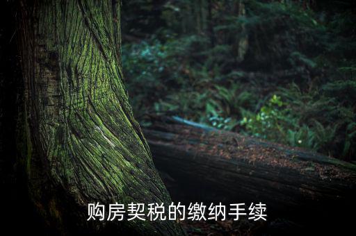 如何繳納契稅，購房契稅的繳納手續(xù)