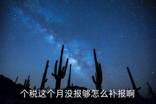 如何補(bǔ)報(bào)個(gè)人所得稅，個(gè)人所得稅報(bào)錯(cuò)了怎么補(bǔ)報(bào)