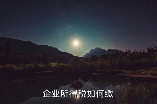 企業(yè)所得稅如何繳稅，企業(yè)所得稅如何繳納