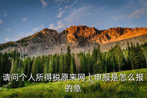 個人所得稅如何網(wǎng)上申報，個人所得稅網(wǎng)上申報流程