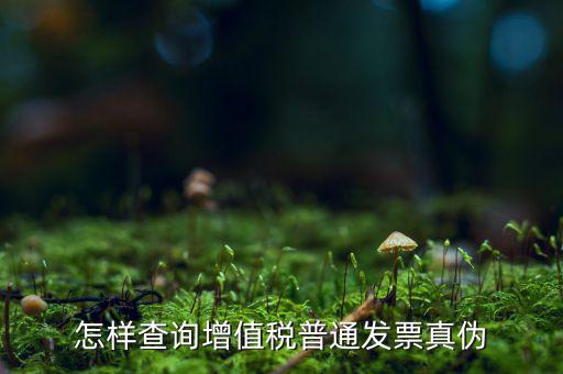 稅務局如何查發(fā)票真假，如何查稅務發(fā)票真假