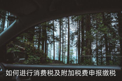 附加稅如何才能申報(bào)，如何進(jìn)行消費(fèi)稅及附加稅費(fèi)申報(bào)繳稅