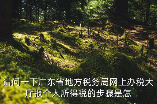 廣州地稅如何網(wǎng)上申報(bào)，想請(qǐng)教如何辦理廣州地稅網(wǎng)上申報(bào)