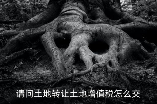 土地增值稅如何繳納，請(qǐng)問(wèn)土地轉(zhuǎn)讓土地增值稅怎么交