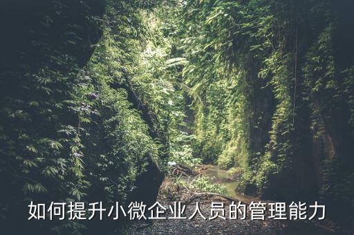 如何加強小型微利企業(yè)管理，如何提升小微企業(yè)人員的管理能力