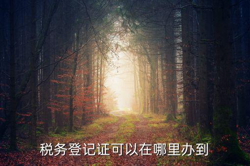 如何辦理稅種登記，辦好營(yíng)業(yè)執(zhí)照后怎么辦理稅務(wù)登記證