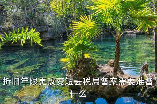 固定資產(chǎn)縮短折舊年限如何備案，折舊年限更改變短去稅局備案需要準備什么