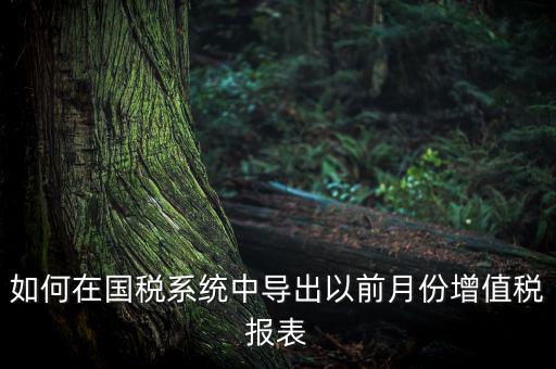 如何導出增值稅申報表，如何在國稅系統(tǒng)中導出以前月份增值稅報表