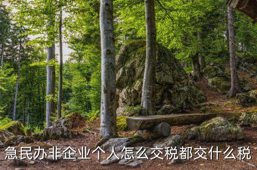 民非企業(yè)如何納稅申報，民辦非企業(yè)單位如何繳納個人所得稅