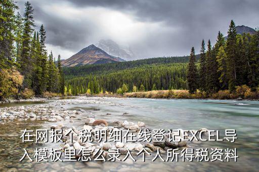 北京個稅明細(xì)申報如何導(dǎo)入，在網(wǎng)報個稅明細(xì)在線登記EXCEL導(dǎo)入模板里怎么錄入個人所得稅資料