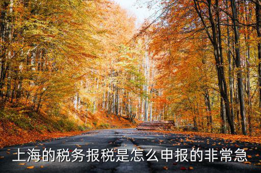 上海市國地稅如何申報(bào)，上海地稅是網(wǎng)上報(bào)稅嗎采取什么方式申報(bào)