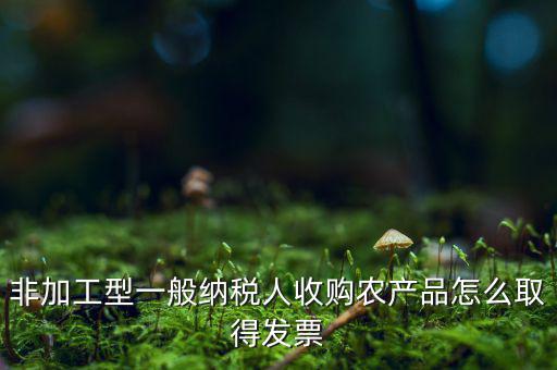 農(nóng)產(chǎn)品收購(gòu)發(fā)票如何，農(nóng)產(chǎn)品收購(gòu)發(fā)票如何開(kāi)