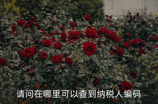 教您如何查詢納稅人代碼，忘記稅務征收機關代碼