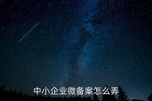 小型微型企業(yè)如何備案，小型微型企業(yè)登記備案