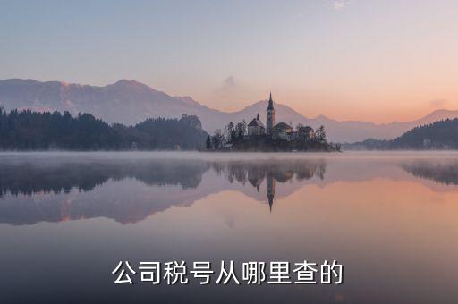 如何查到企業(yè)納稅號(hào)，公司稅號(hào)從哪里查的