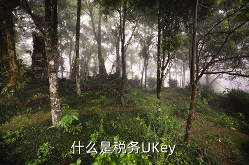 稅務局ukey是什么，什么是稅務UKey