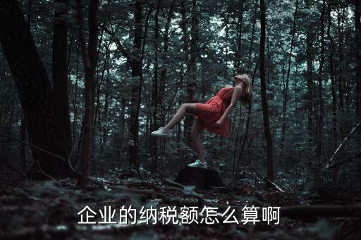 企業(yè)納稅如何計(jì)算，企業(yè)的納稅額怎么算啊