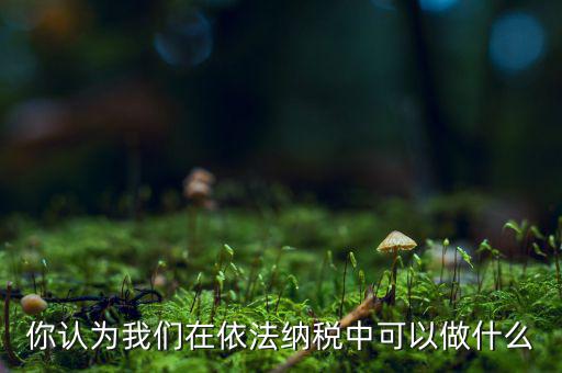 如何做到依法納稅，你認(rèn)為我們在依法納稅中可以做什么