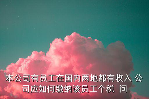 公司內(nèi)部應(yīng)該如何制定個(gè)稅繳納制度，企業(yè)工資項(xiàng)目構(gòu)成以及交納個(gè)人所得稅的方法