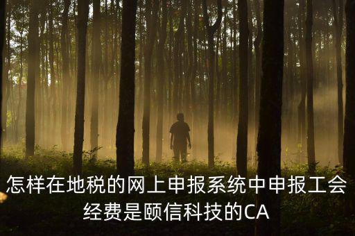 工會經(jīng)費如何網(wǎng)上申報，怎樣在地稅的網(wǎng)上申報系統(tǒng)中申報工會經(jīng)費是頤信科技的CA