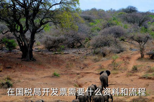 國(guó)稅局批票如何辦理，在國(guó)稅局開發(fā)票需要什么資料和流程
