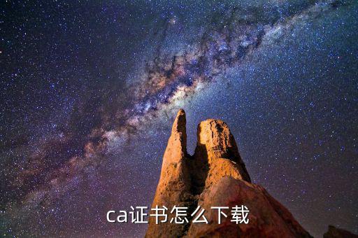 如何下載國稅ca證書，ca證書怎么下載