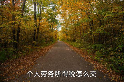 個(gè)人勞務(wù)費(fèi)如何繳稅，勞務(wù)報(bào)酬所得怎么繳納個(gè)人所得稅