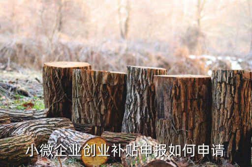 小型微利企業(yè)如何申請(qǐng)社保補(bǔ)貼，小微企業(yè)補(bǔ)貼怎么申請(qǐng)