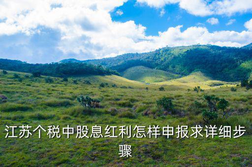 股息紅利如何申報(bào)，其他利息股息紅利所得怎么申報(bào)