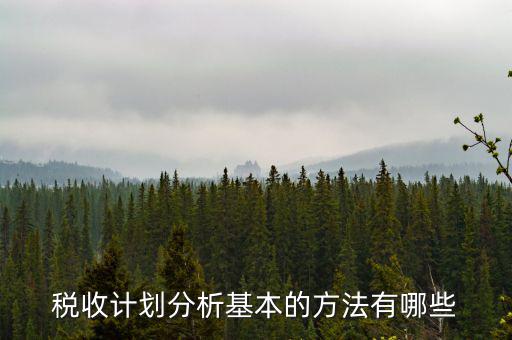 如何打造稅收分析拳頭產(chǎn)品，如何做好稅收預測工作