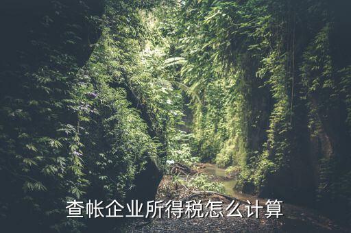企業(yè)所得稅如何查賬，企業(yè)所得稅計(jì)算 查賬法