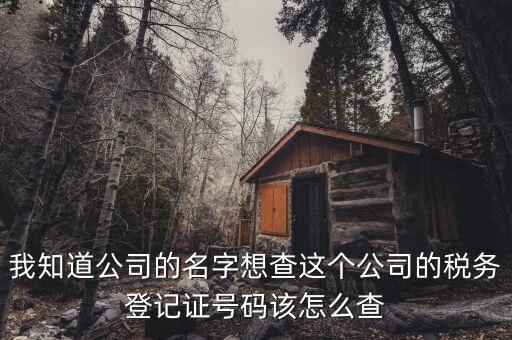 如何查詢稅務(wù)登記證號(hào)碼，稅務(wù)登記號(hào)查詢