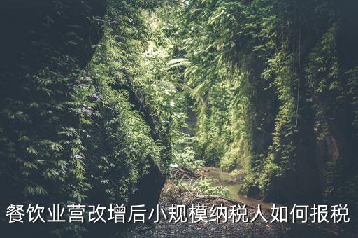 營改增后小規(guī)模納稅人如何報稅，營改增后小規(guī)模的怎么報稅
