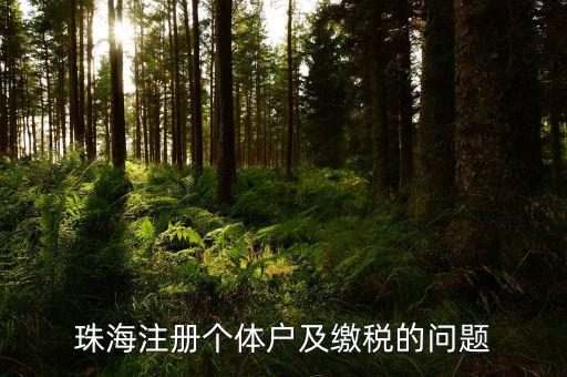 珠海稅票如何網(wǎng)上辦理，珠?？贪l(fā)票專用章程序