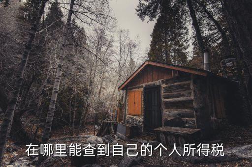 個(gè)人所得稅如何查，怎么查個(gè)人所得稅