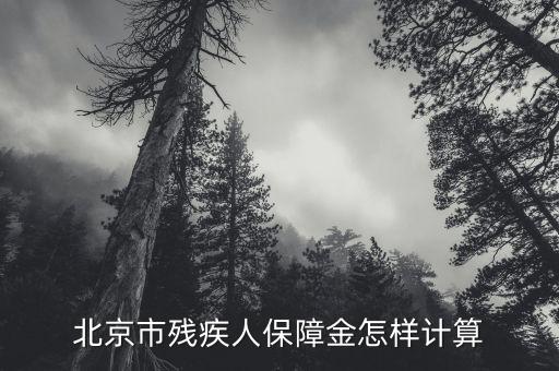 北京市殘疾人保障金如何計(jì)算方法，北京市殘疾人保障金怎樣計(jì)算