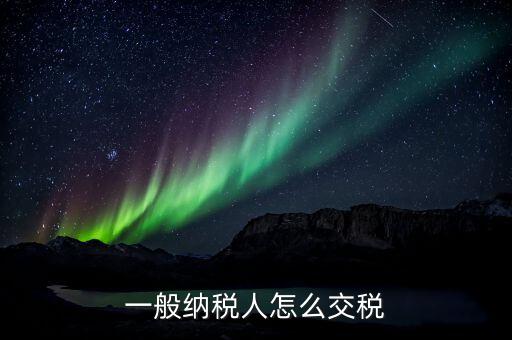一般納稅人如何交稅，一般納稅人開普通發(fā)票怎么繳稅啊