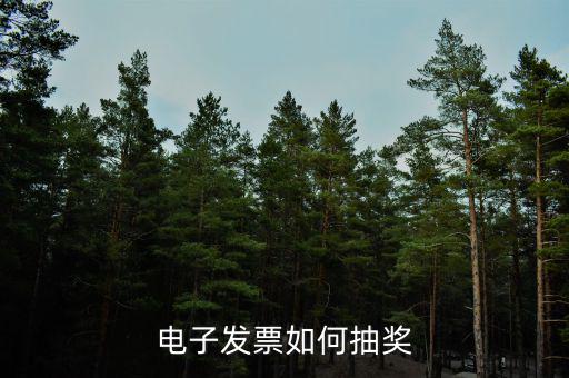 發(fā)票如何登記抽獎(jiǎng)，發(fā)票怎么抽獎(jiǎng)